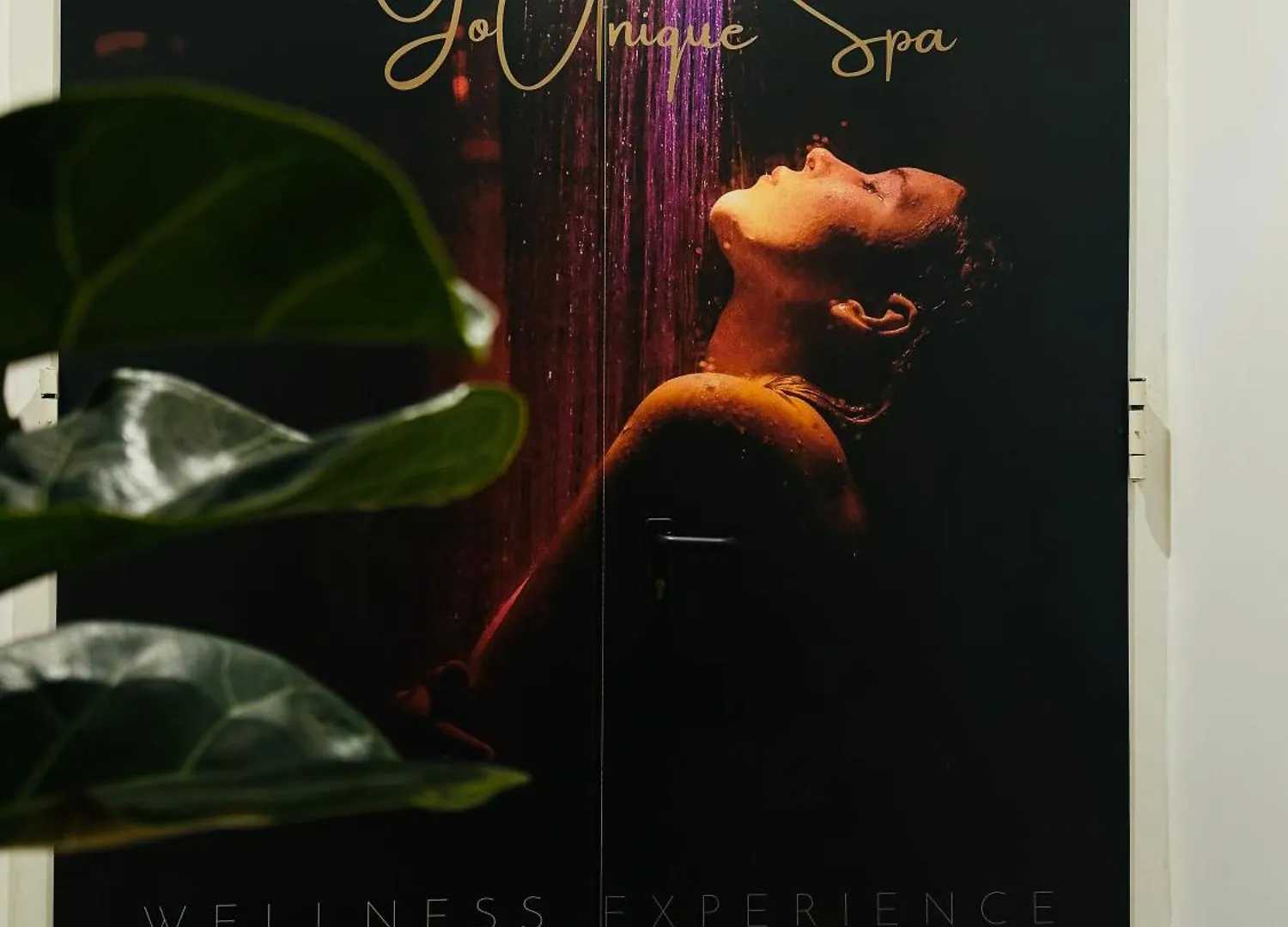 Hotel Butterfly Wellness & Spa Rimini